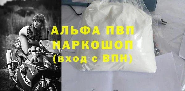 СК Алексин