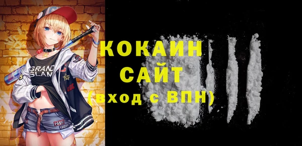 СК Алексин