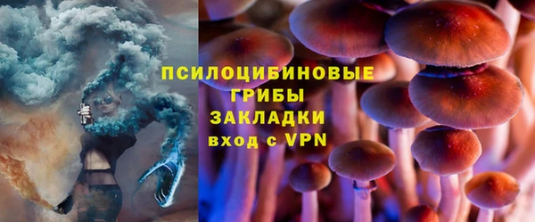 СК Алексин