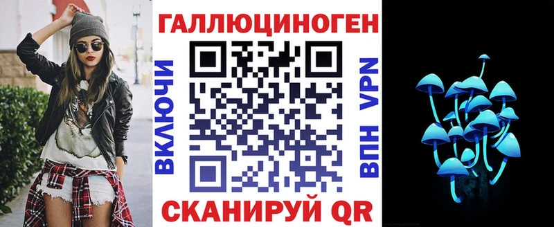 Псилоцибиновые грибы Cubensis Цоци-Юрт
