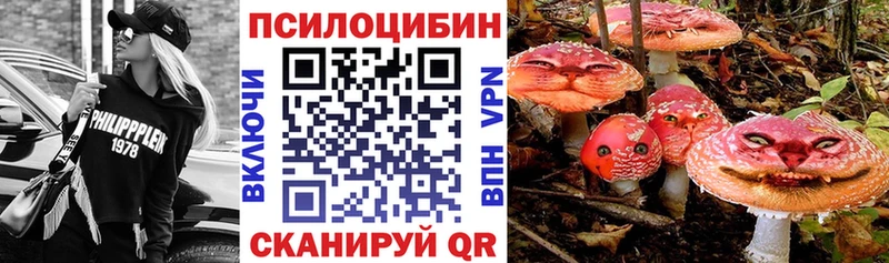 гидра маркетплейс  Цоци-Юрт  Псилоцибиновые грибы MAGIC MUSHROOMS 